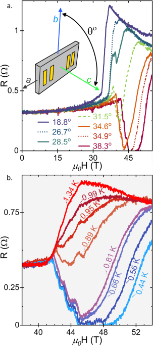 High-field superconductivity in orphan uranium ditelluride compounds