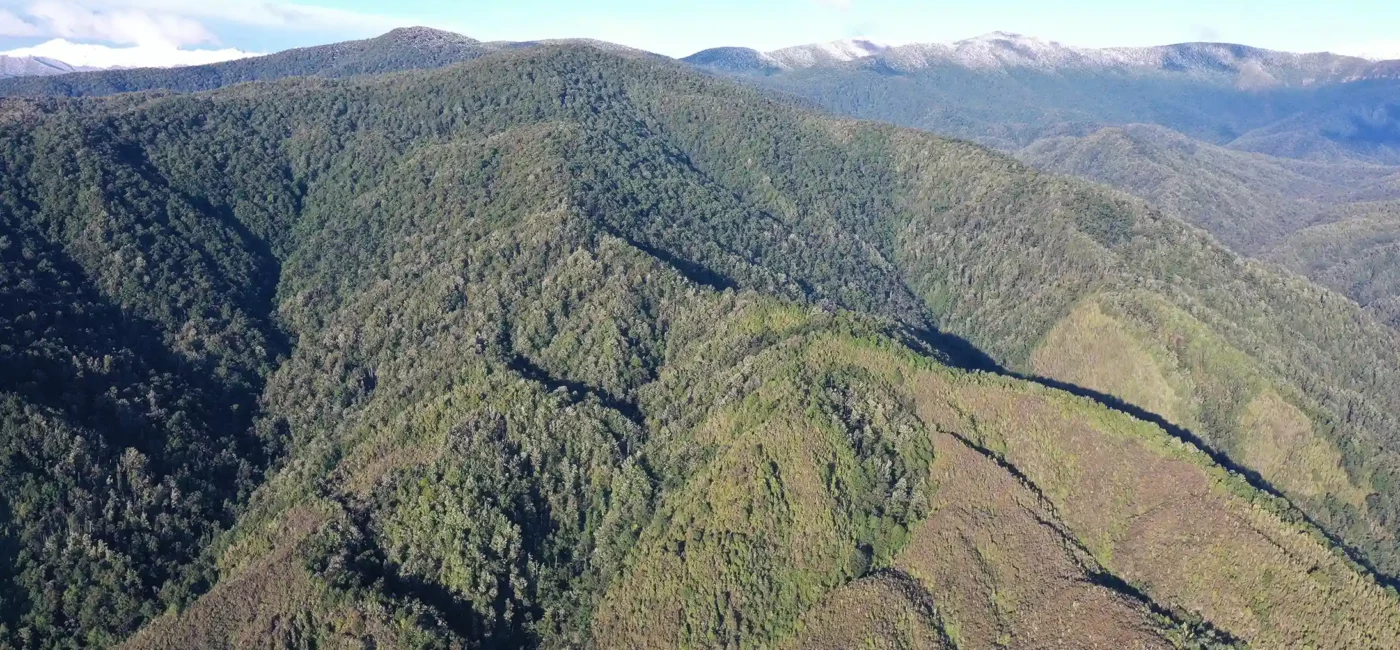 New Zealand and RUA Gold