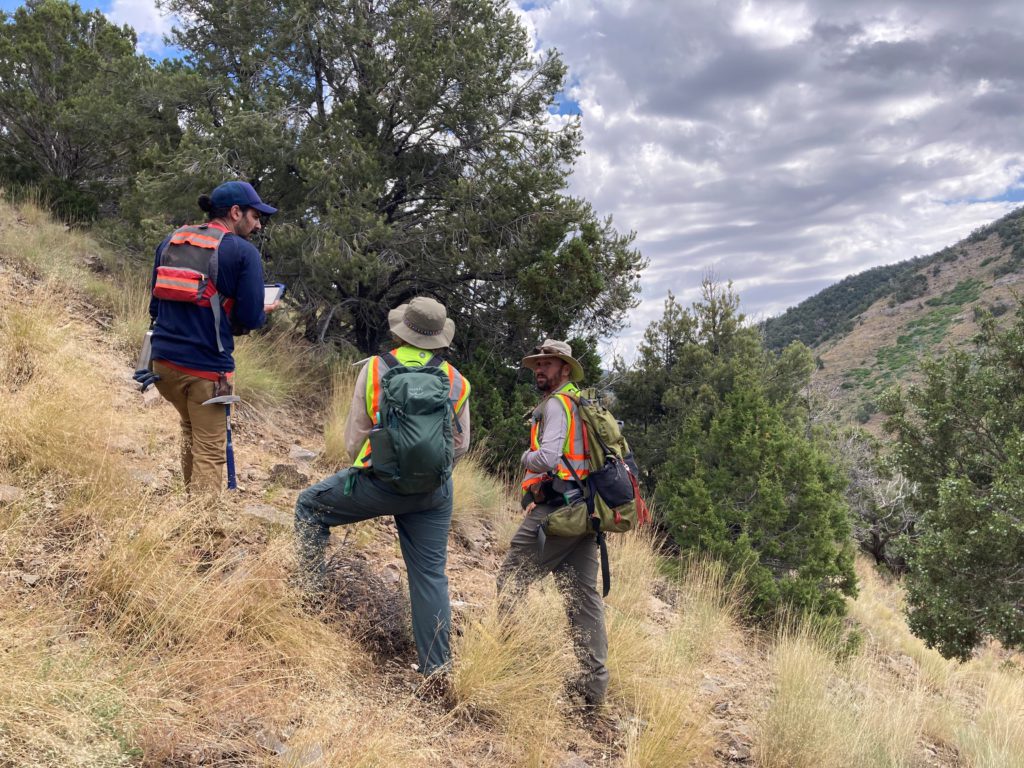 Revival Gold bets on Mercur and Beartrack-Arnett as catalysts in a tight gold market